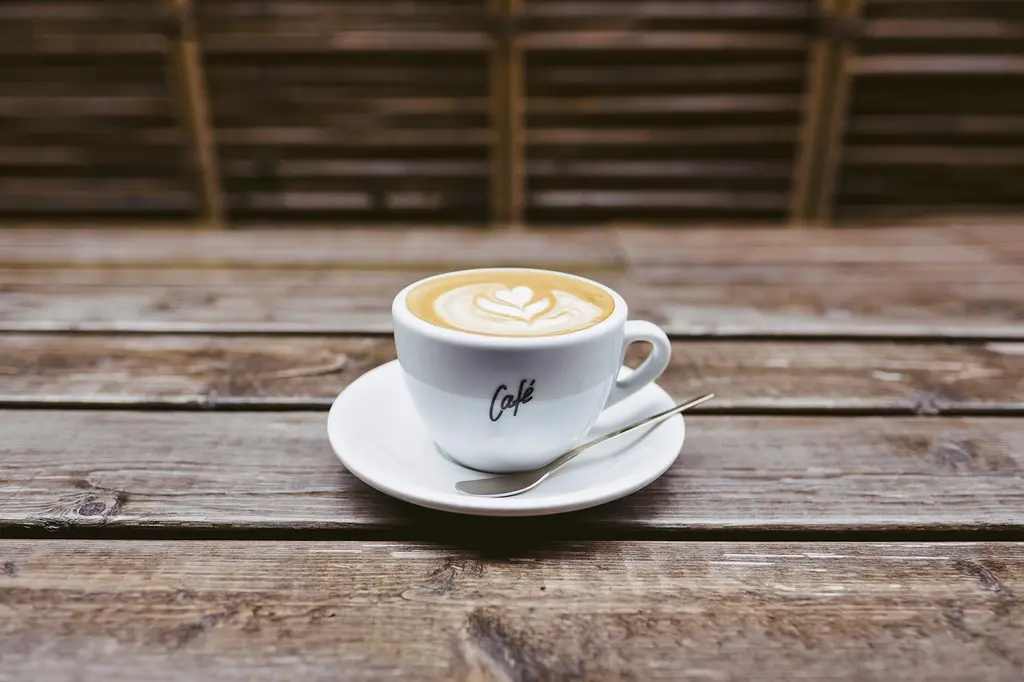 Guía completa de café de origen