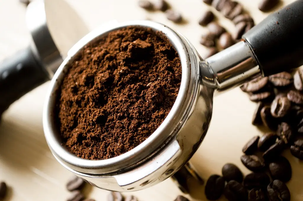 Introducción al café de especialidad para principiantes