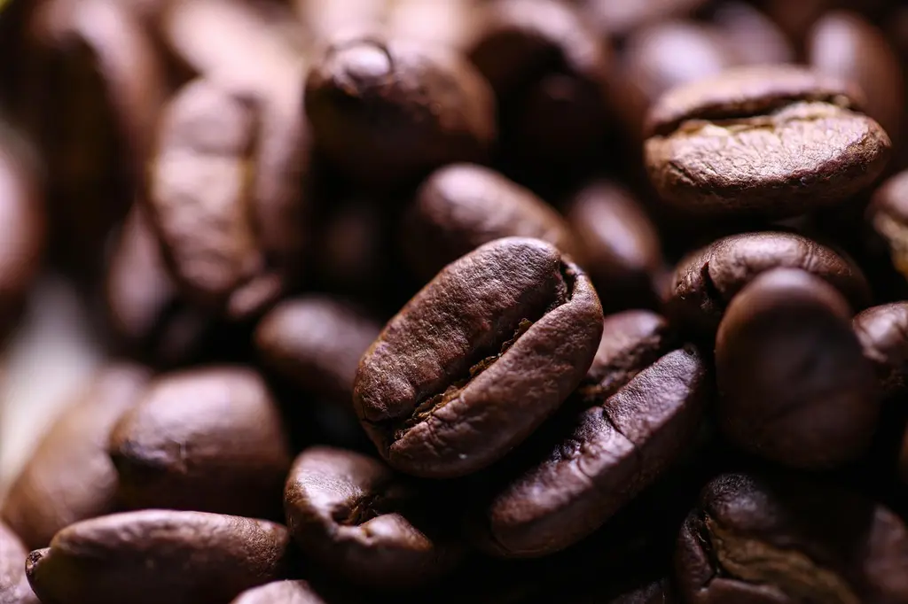 Top 5 cafés de origen que debes probar