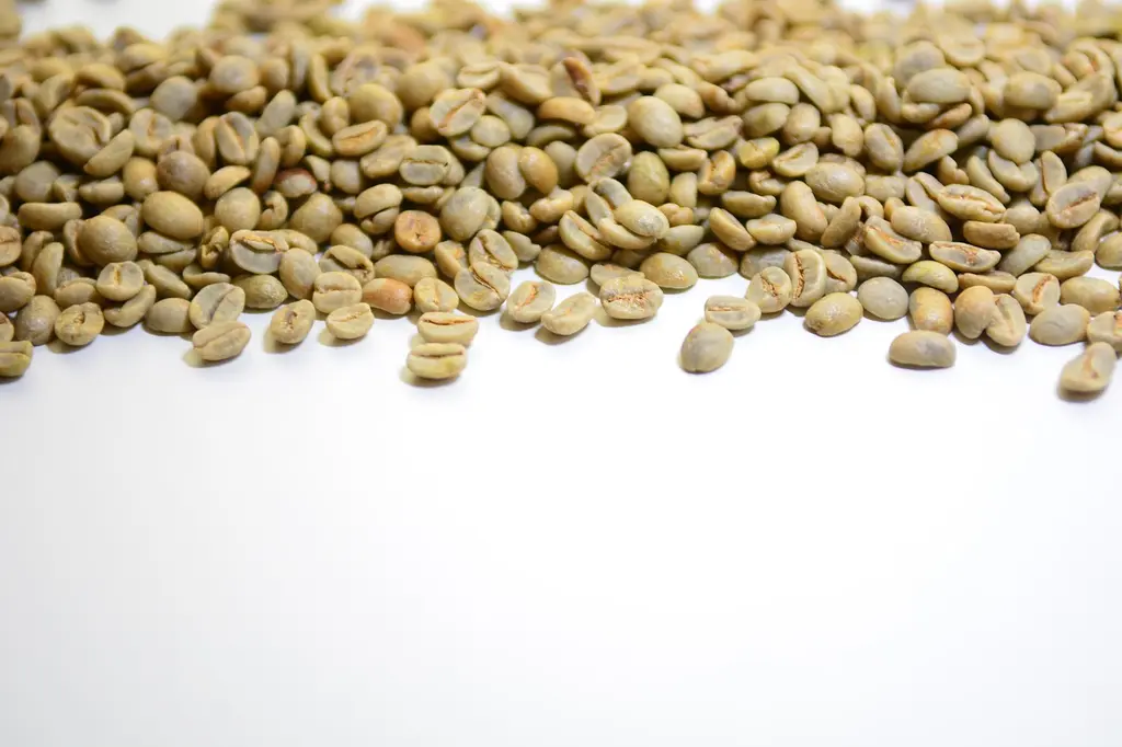 Preguntas frecuentes sobre nuestro café de origen